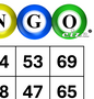 Bingocize® Bingo Cards